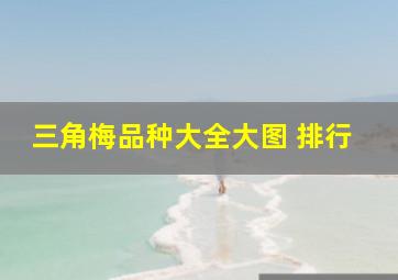 三角梅品种大全大图 排行